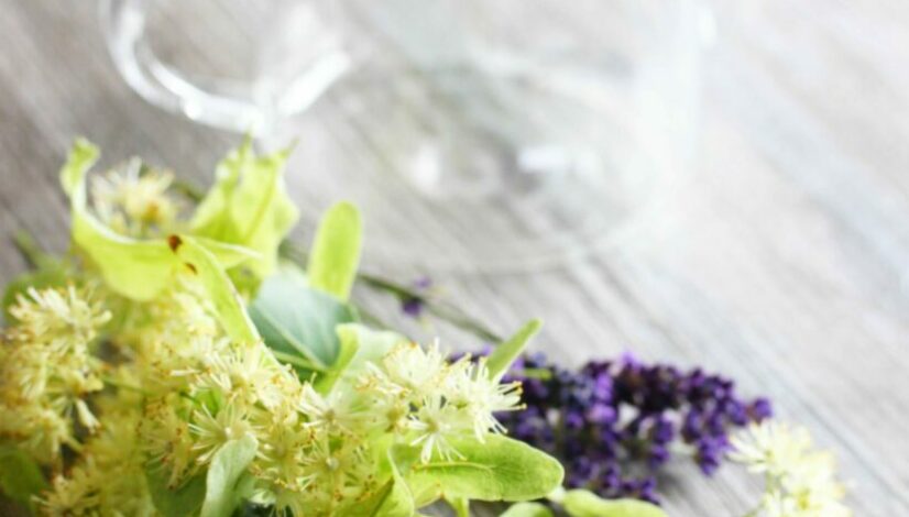 megumi-nachev-zkvB1mKzjmk-unsplash